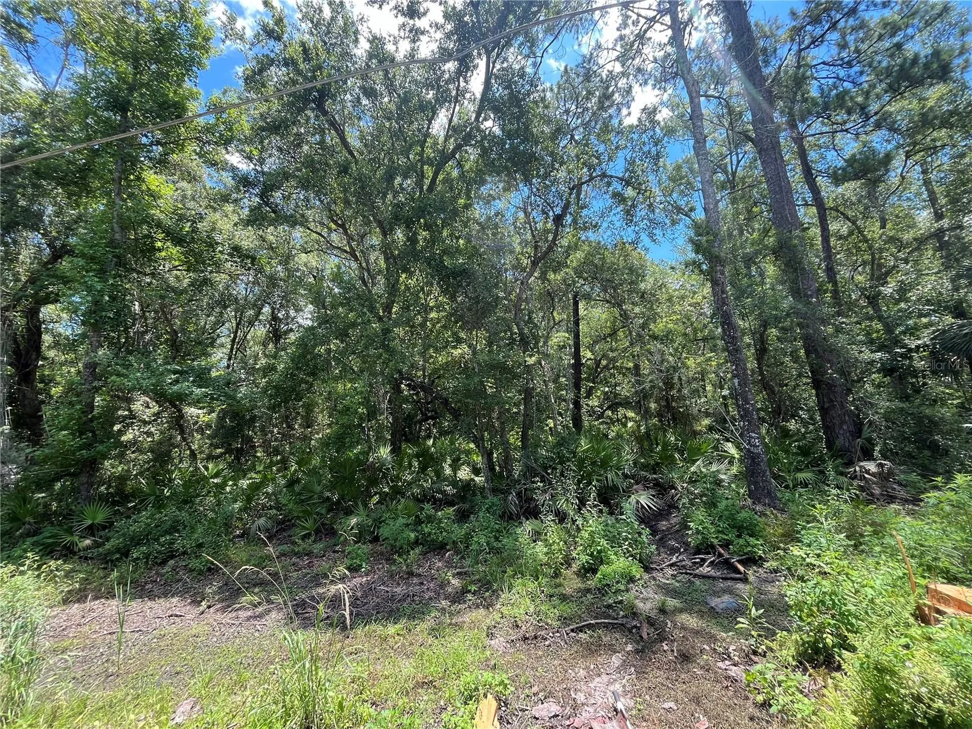 Franklin Drive Crawfordville FL 32327