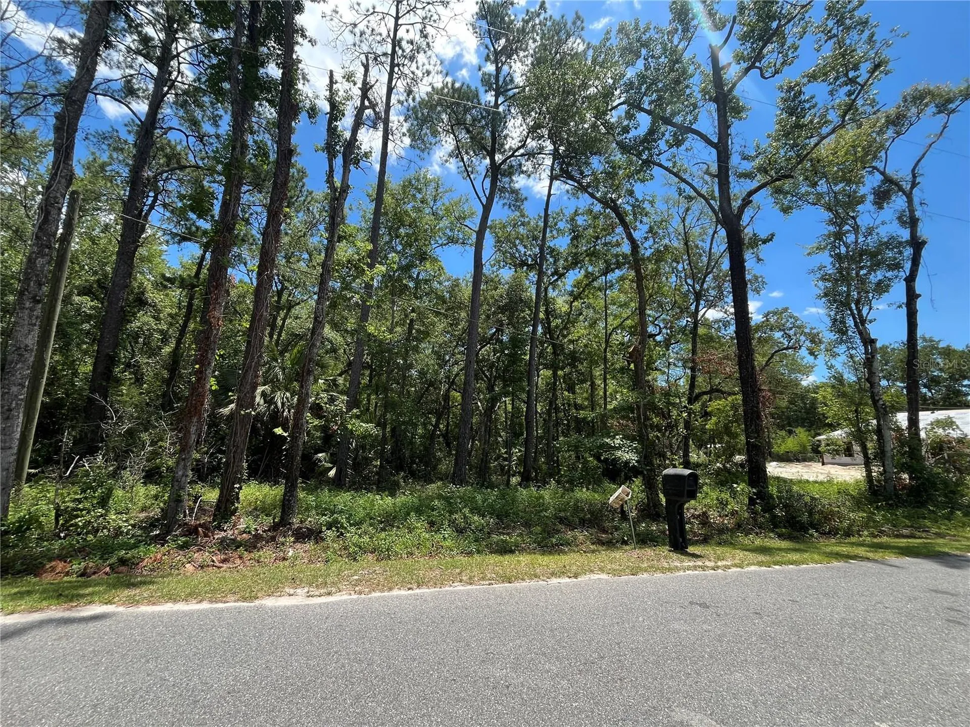 Franklin Drive Crawfordville FL 32327