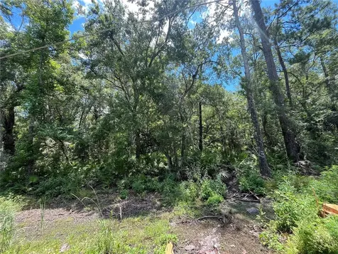Franklin Drive Crawfordville FL 32327
