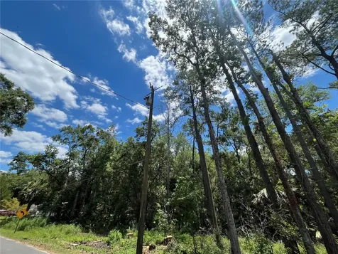 Franklin Drive Crawfordville FL 32327