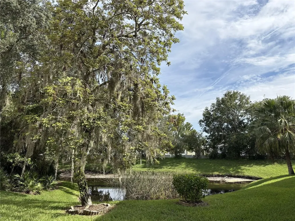 35219 Janine Drive Zephyrhills FL 33541