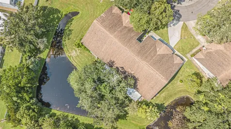 35219 Janine Drive Zephyrhills FL 33541