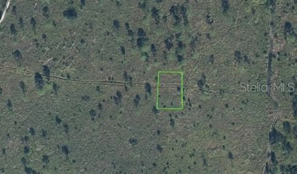 7811 Ronda Street Sebring FL 33872