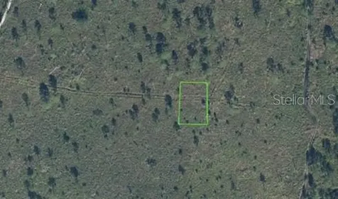 7811 Ronda Street Sebring FL 33872