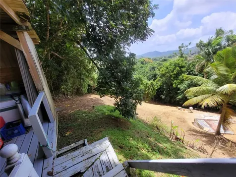 PR156 Mulas Aguas Buenas PR 00703