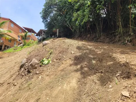 PR156 Mulas Aguas Buenas PR 00703