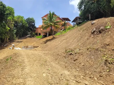 PR156 Mulas Aguas Buenas PR 00703