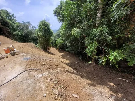PR156 Mulas Aguas Buenas PR 00703