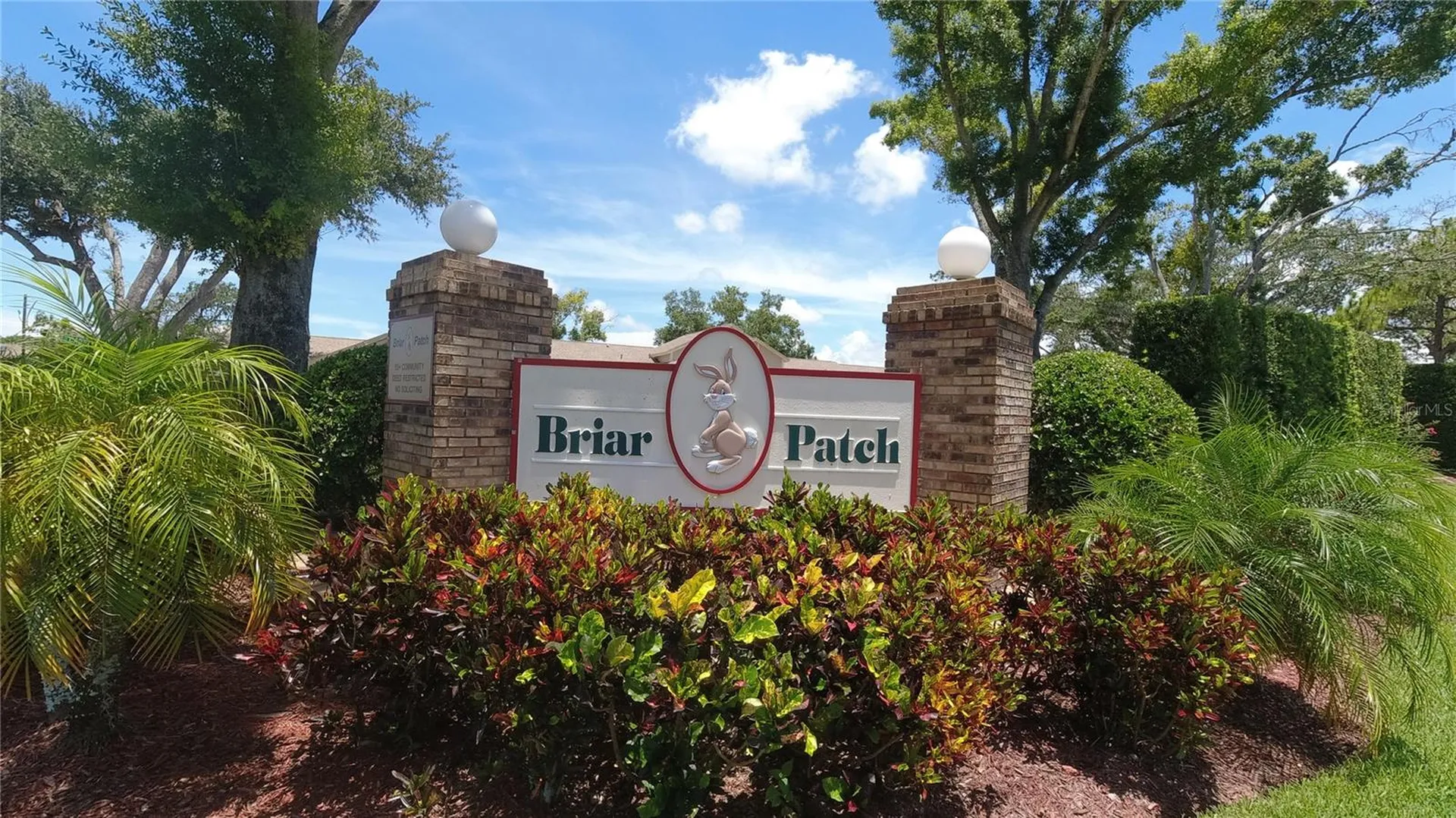 6421 Remus Drive New Port Richey FL 34653
