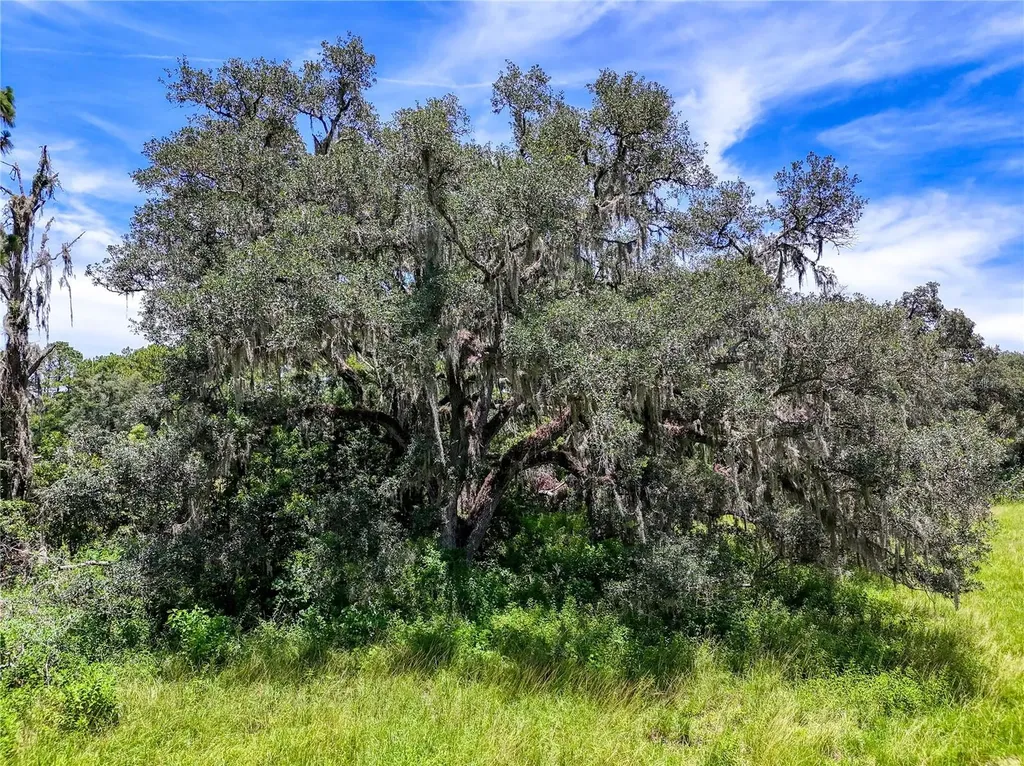 20089 Ayers Road Brooksville FL 34604