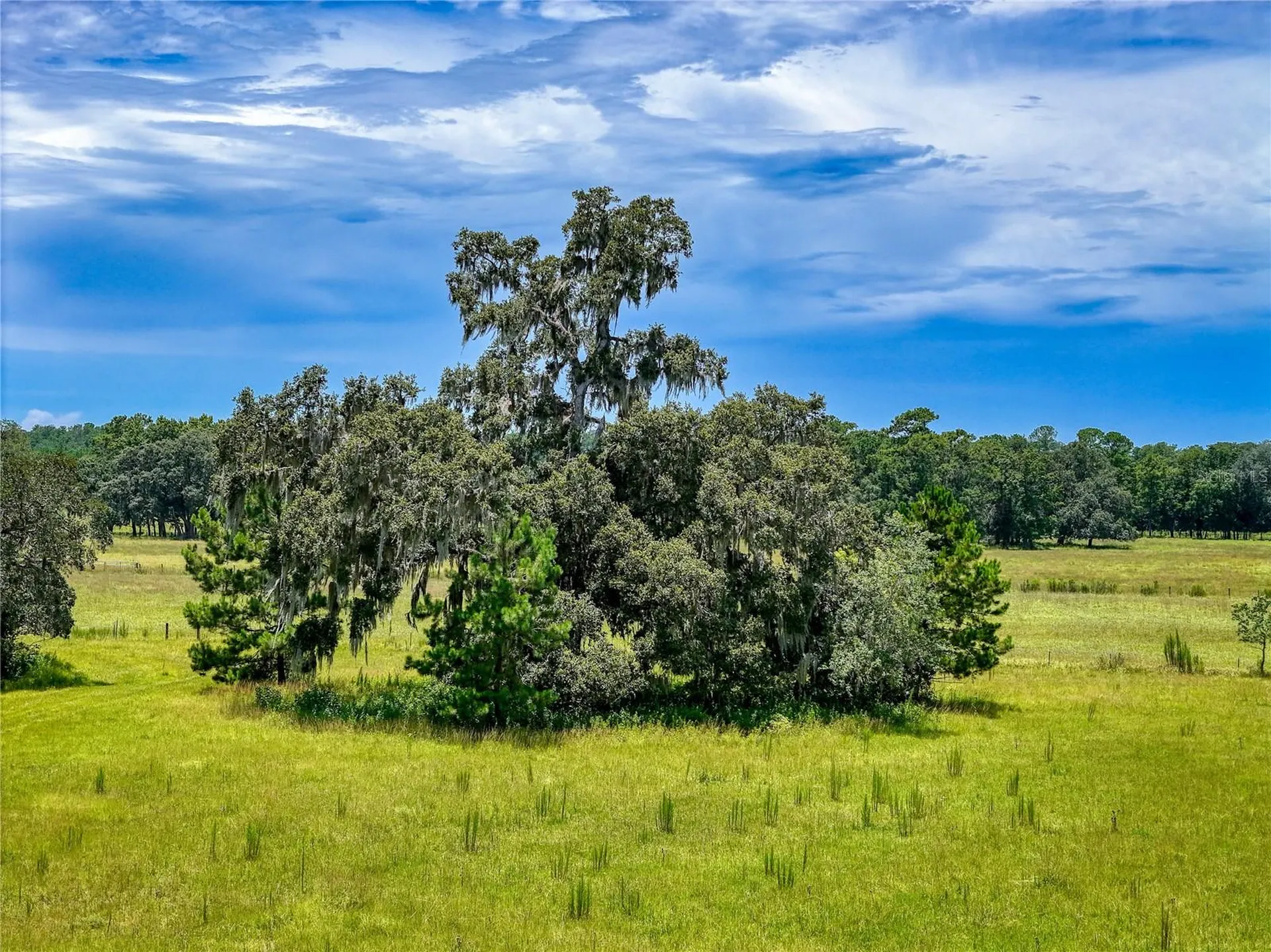 20089 Ayers Road Brooksville FL 34604