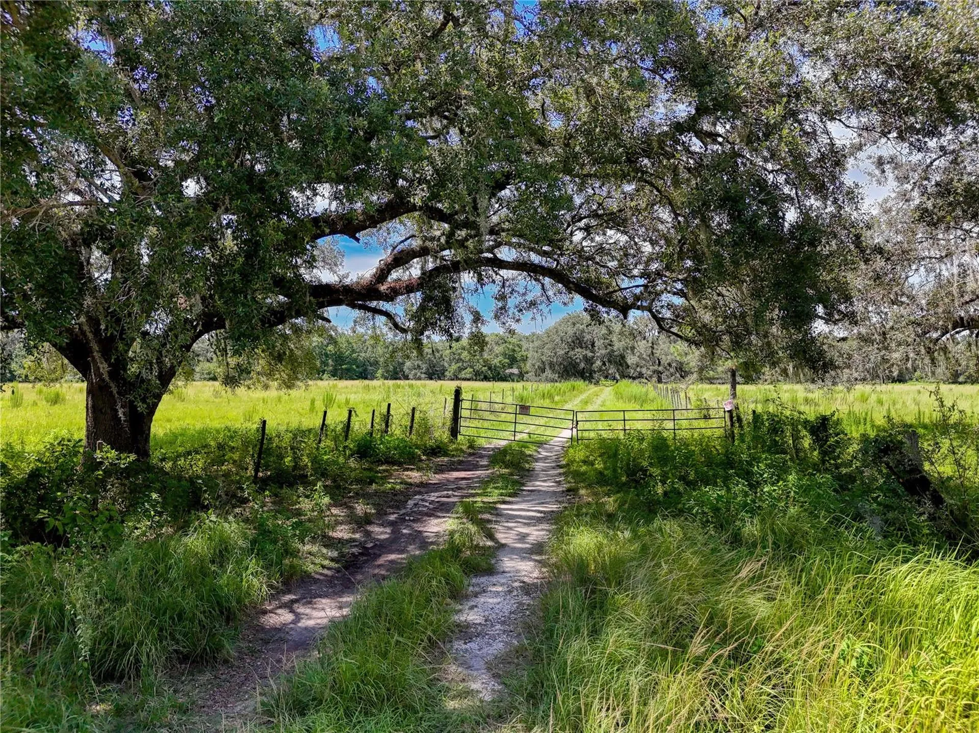 20089 Ayers Road Brooksville FL 34604