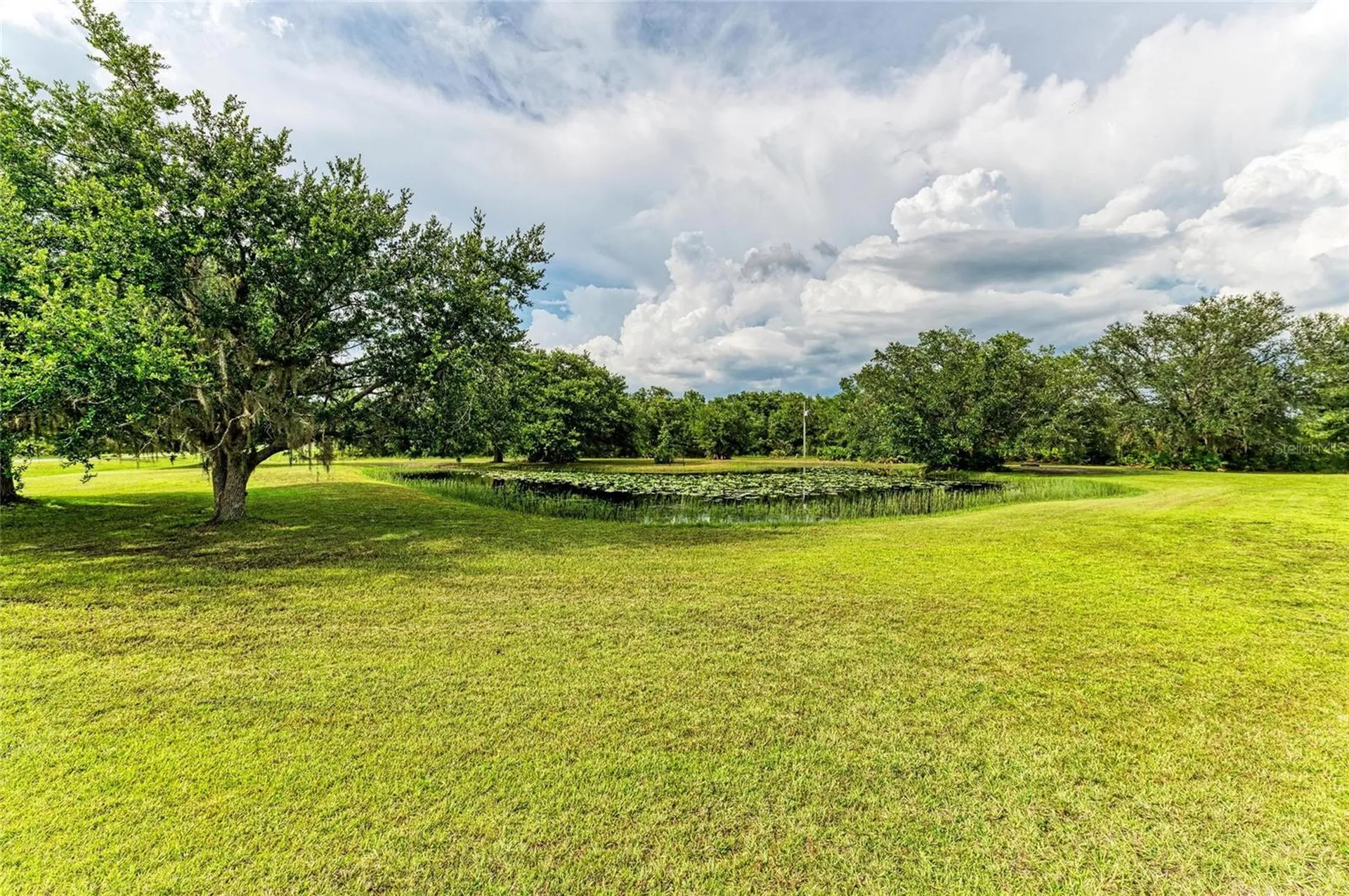 8331 241st Street E Myakka City FL 34251