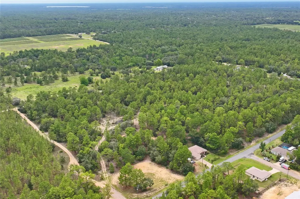 9423 N Tami Path Dunnellon FL 34433