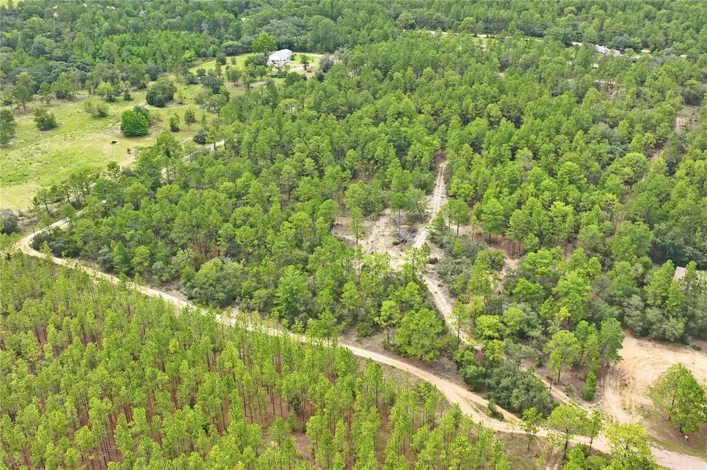 9423 N Tami Path Dunnellon FL 34433
