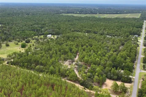 9423 N Tami Path Dunnellon FL 34433
