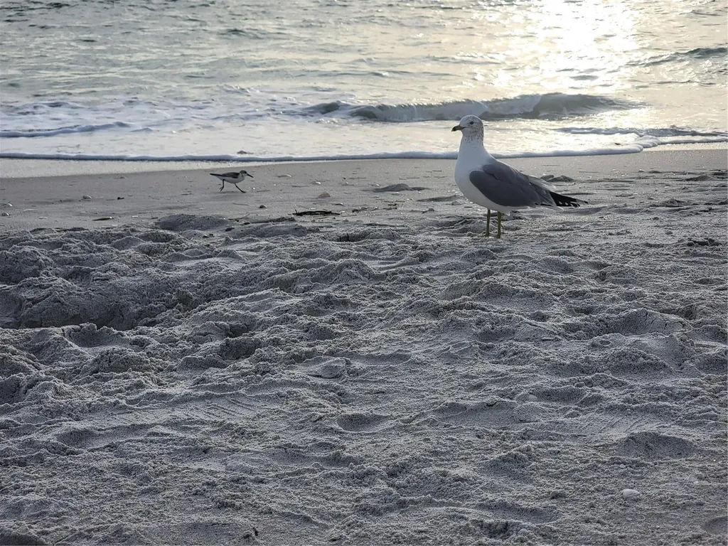 15140 Lyneburg Avenue Port Charlotte FL 33981