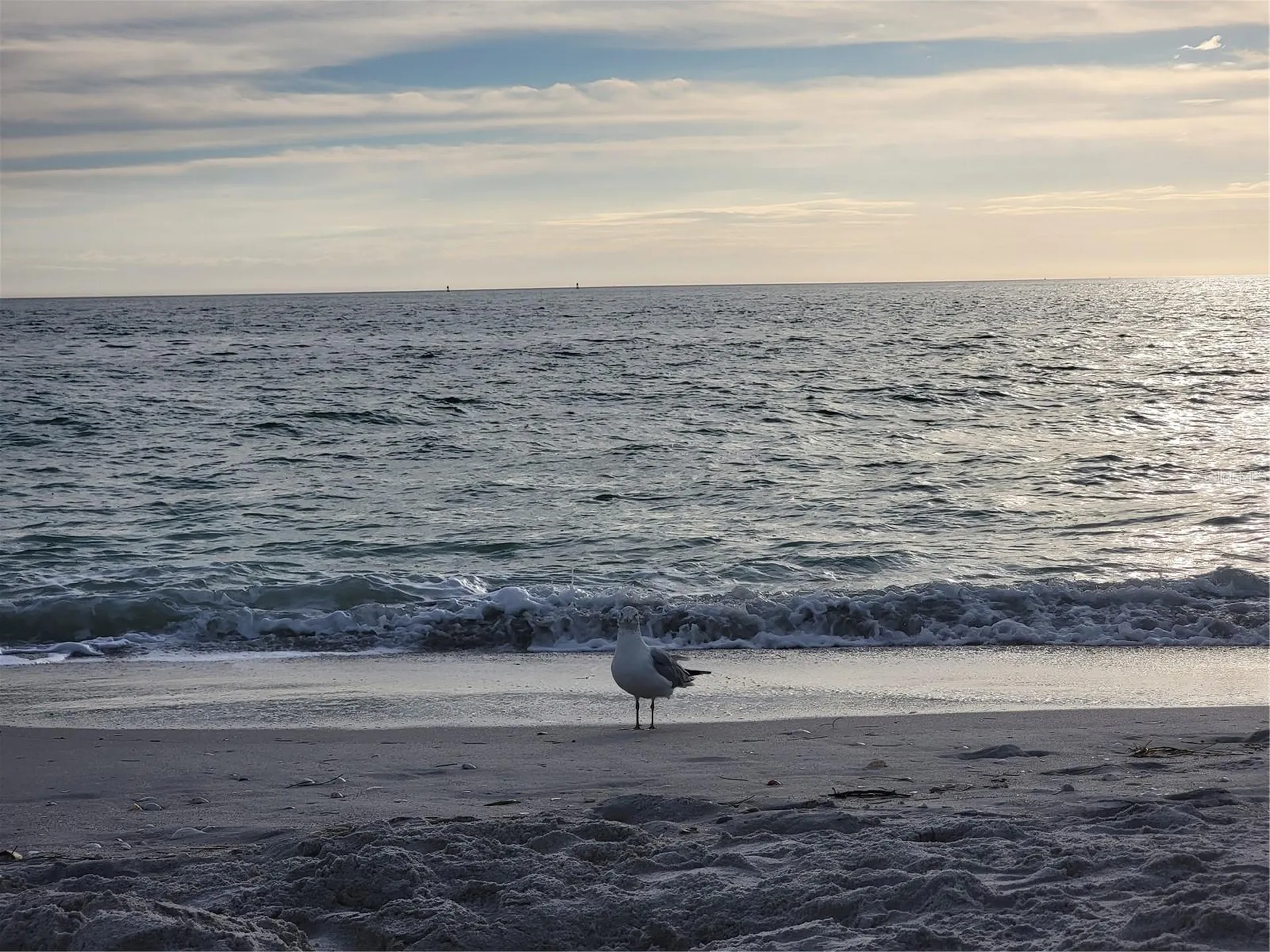 15140 Lyneburg Avenue Port Charlotte FL 33981