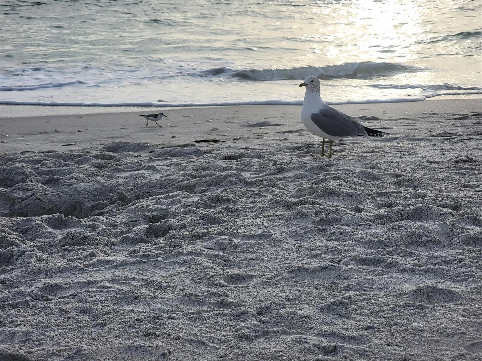 15140 Lyneburg Avenue Port Charlotte FL 33981