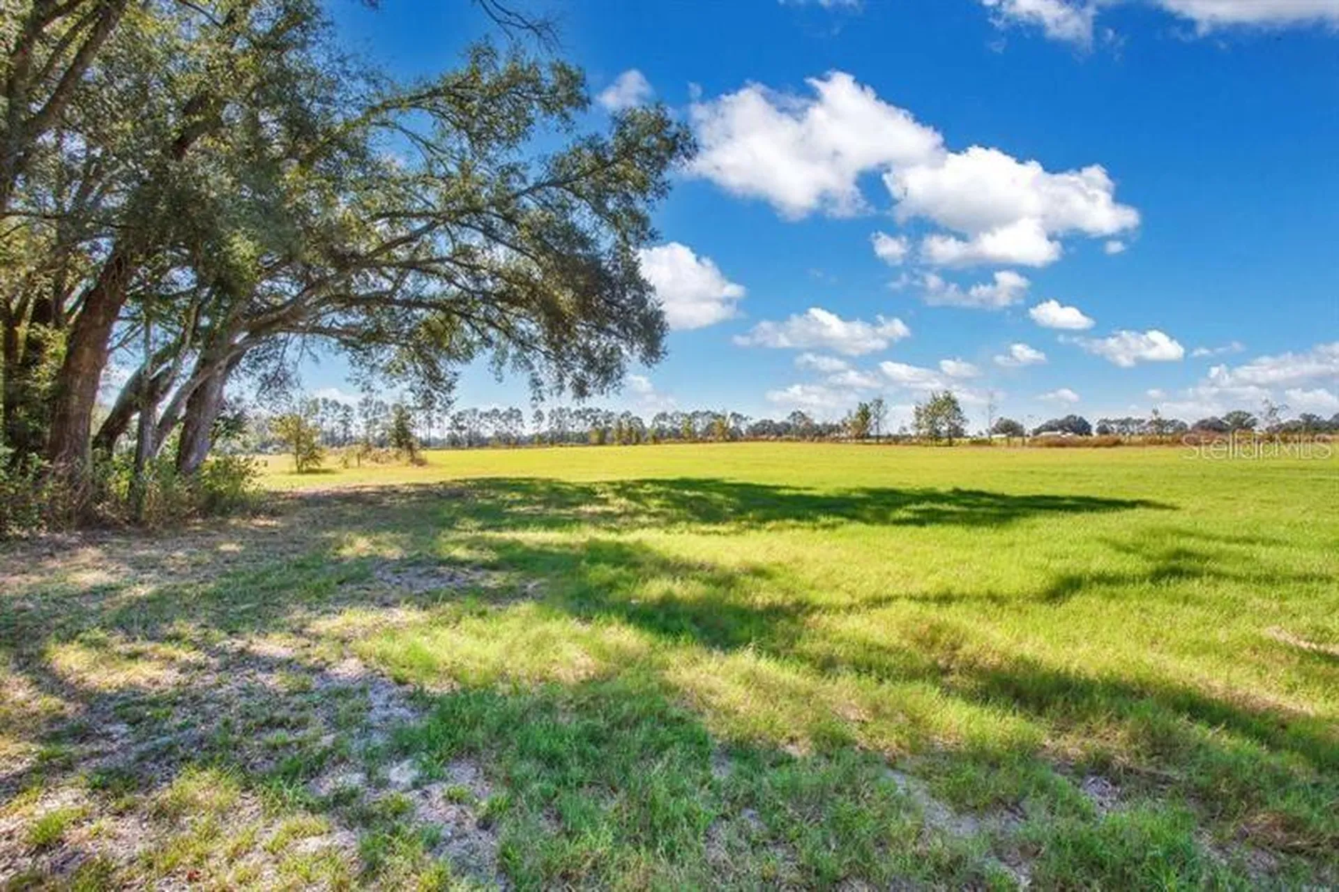 12190 NE 10th Avenue Trenton FL 32693