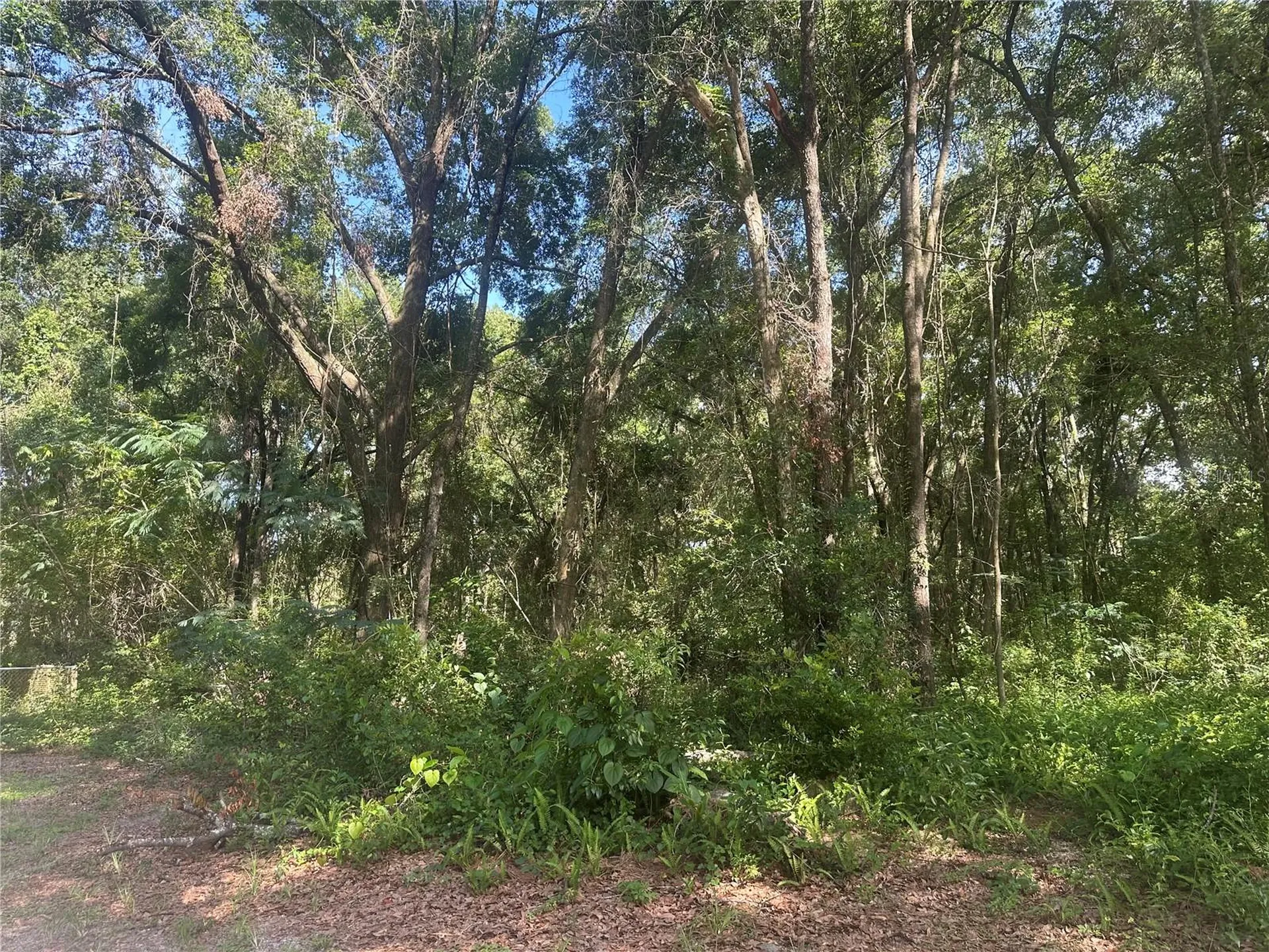 0 SE 36th Avenue Ocala FL 34480