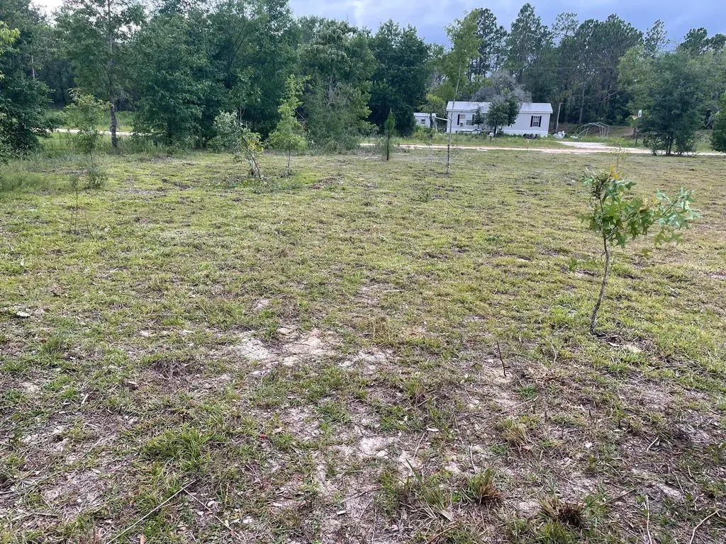 NE 135th Court Williston FL 32696
