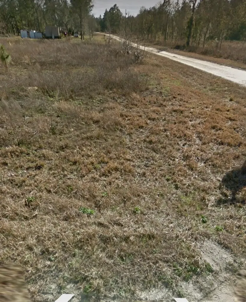 NE 135th Court Williston FL 32696