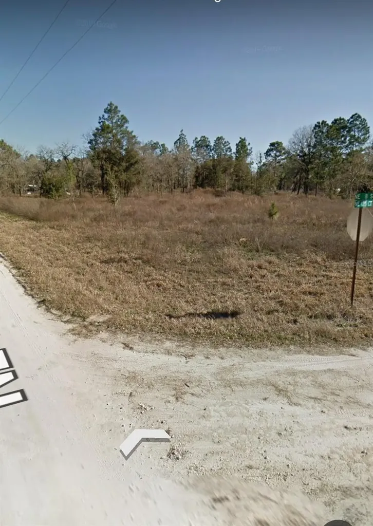 NE 135th Court Williston FL 32696