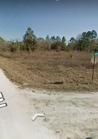 NE 135th Court Williston FL 32696
