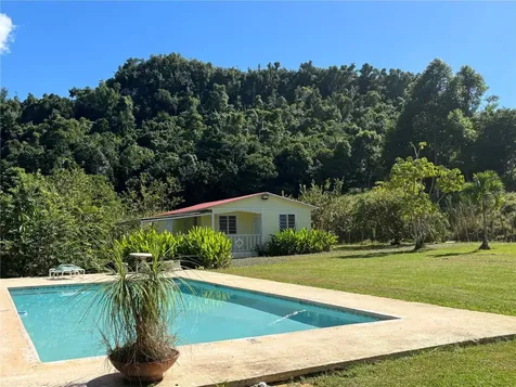 14 Pr-146 Fronton Ciales PR 00638