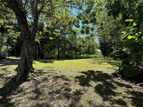 14 Pr-146 Fronton Ciales PR 00638