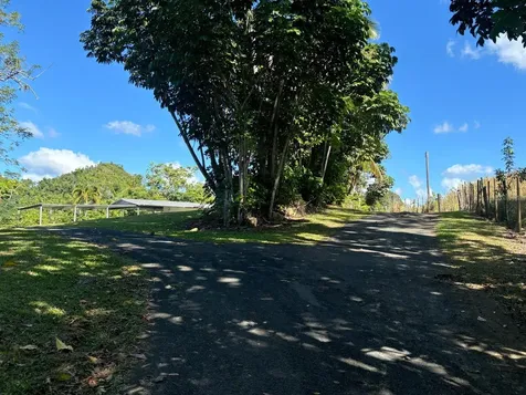 14 Pr-146 Fronton Ciales PR 00638