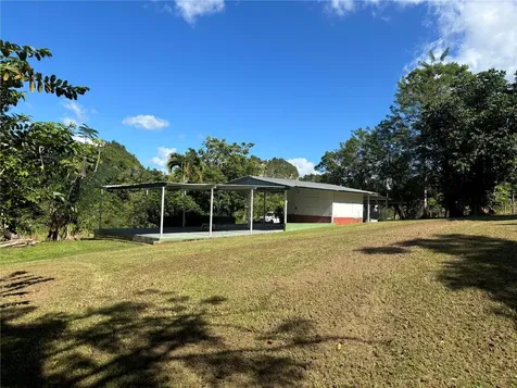 14 Pr-146 Fronton Ciales PR 00638