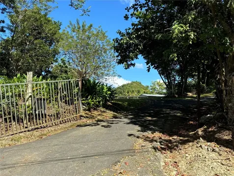 14 Pr-146 Fronton Ciales PR 00638