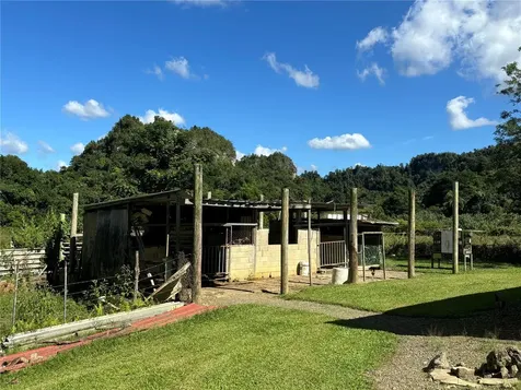 14 Pr-146 Fronton Ciales PR 00638
