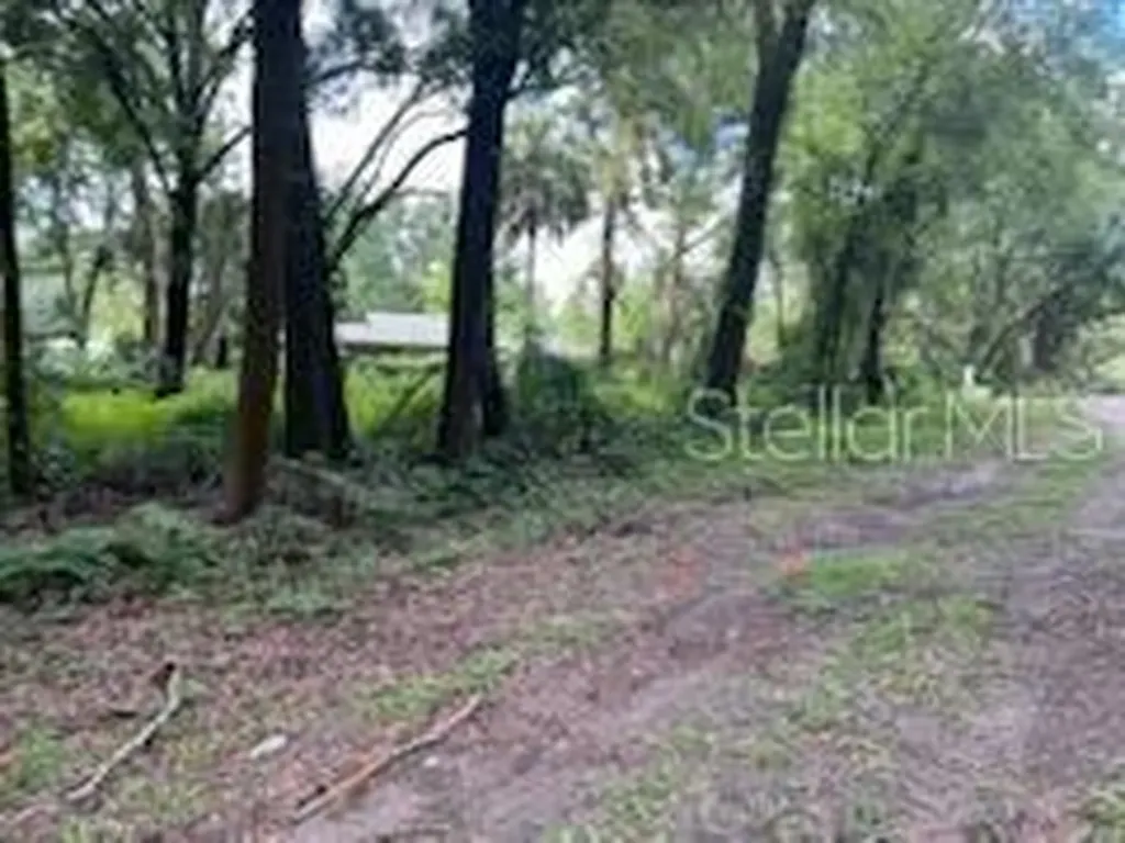 17411 NW 110 Avenue Alachua FL 32615