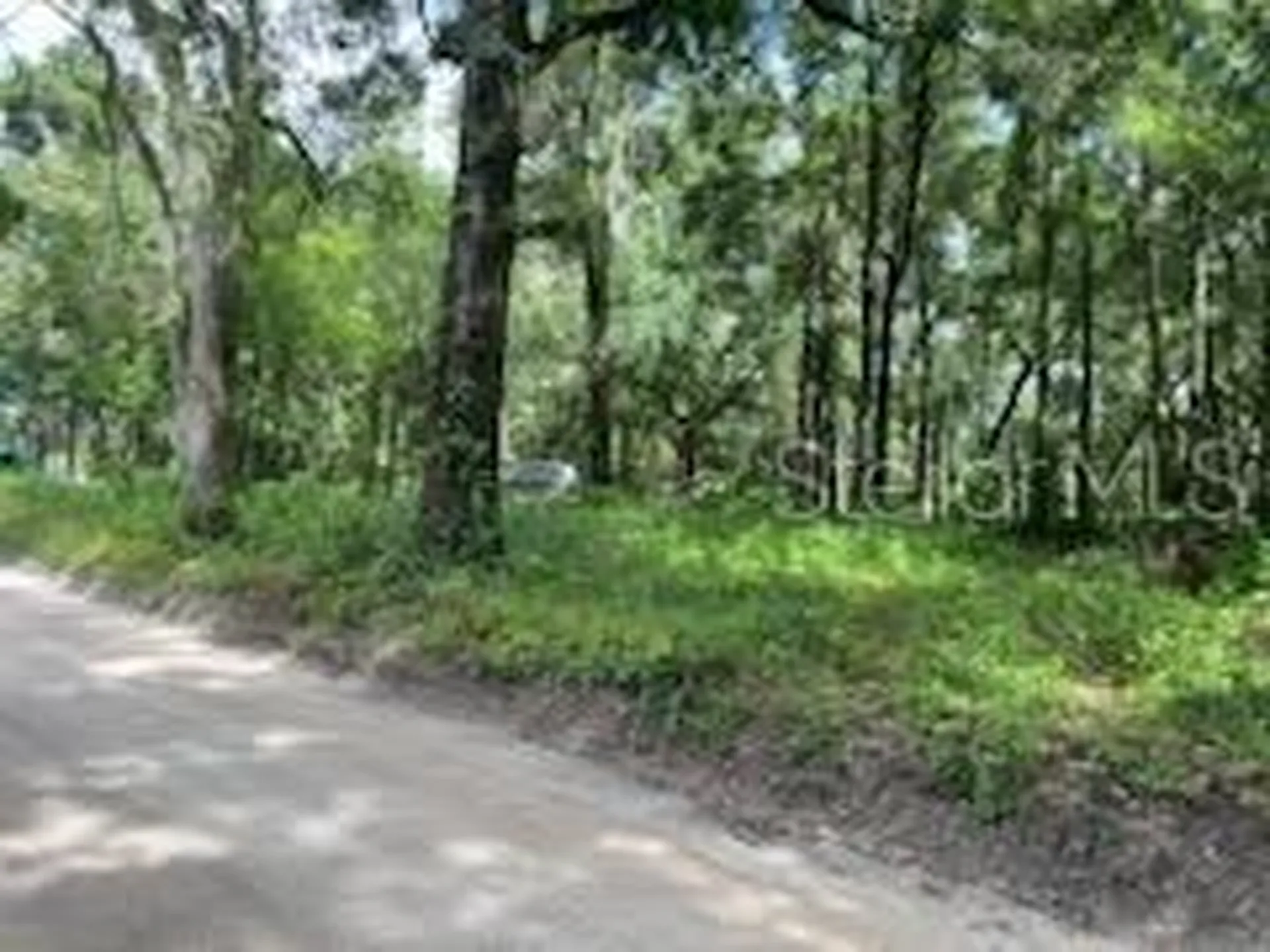 17411 NW 110 Avenue Alachua FL 32615