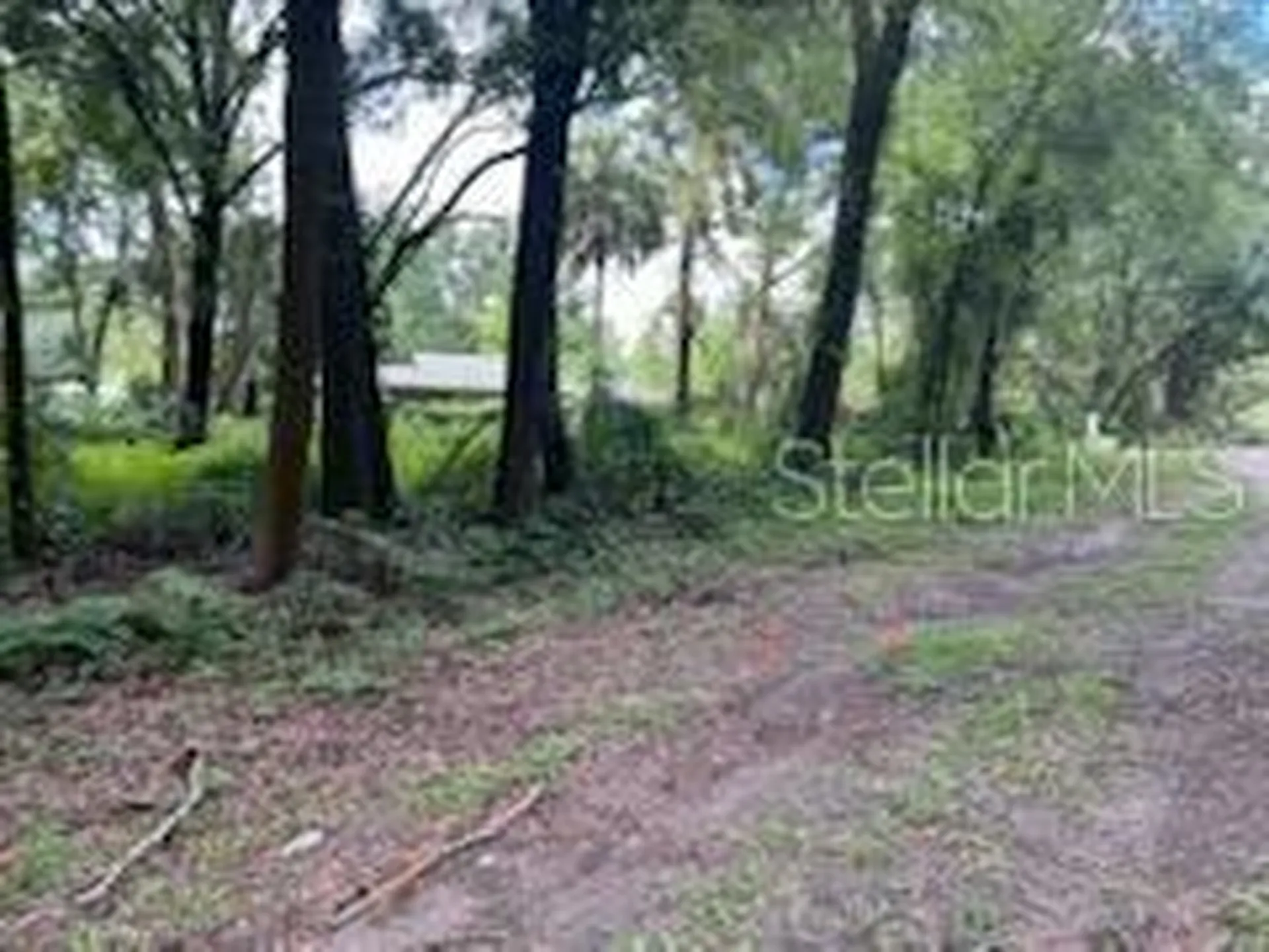 17411 NW 110 Avenue Alachua FL 32615