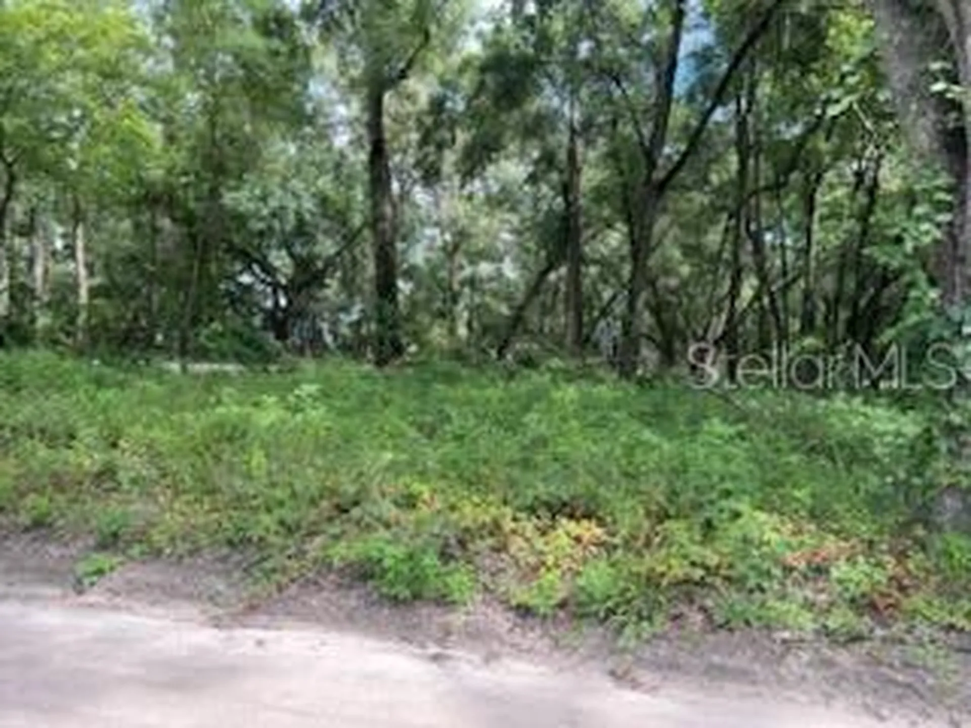 17411 NW 110 Avenue Alachua FL 32615
