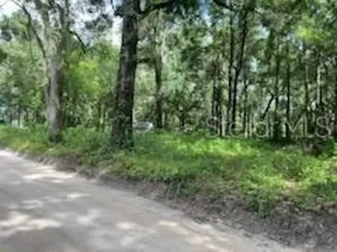 17411 NW 110 Avenue Alachua FL 32615