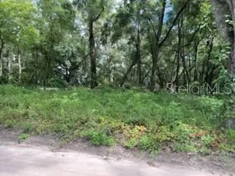 17411 NW 110 Avenue Alachua FL 32615