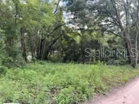 17411 NW 110 Avenue Alachua FL 32615