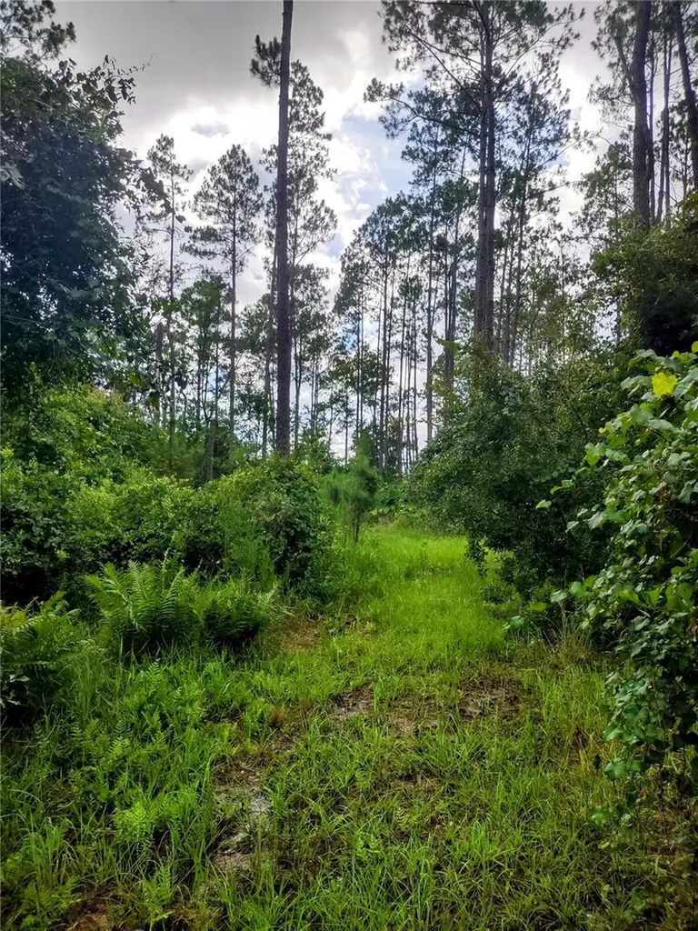 4651 NE 108th Place Chiefland FL 32626