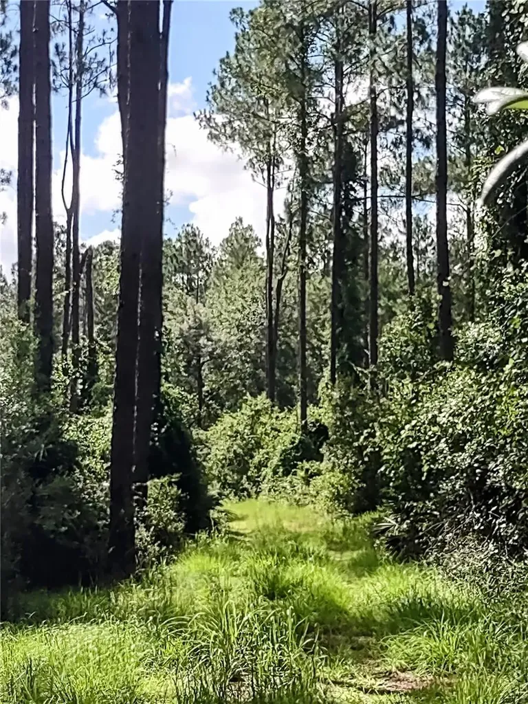 4651 NE 108th Place Chiefland FL 32626