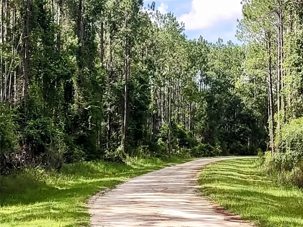 4651 NE 108th Place Chiefland FL 32626