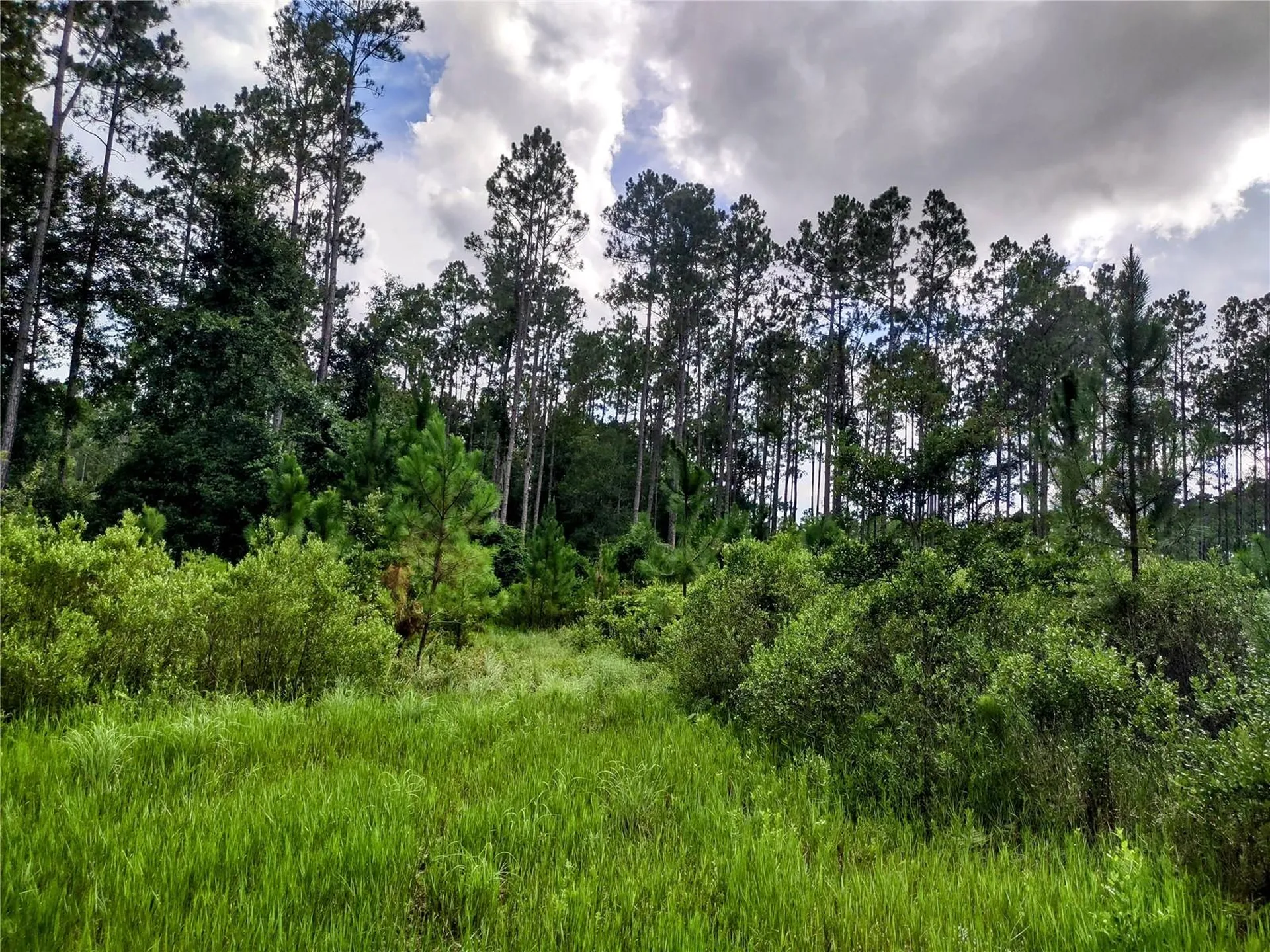4651 NE 108th Place Chiefland FL 32626