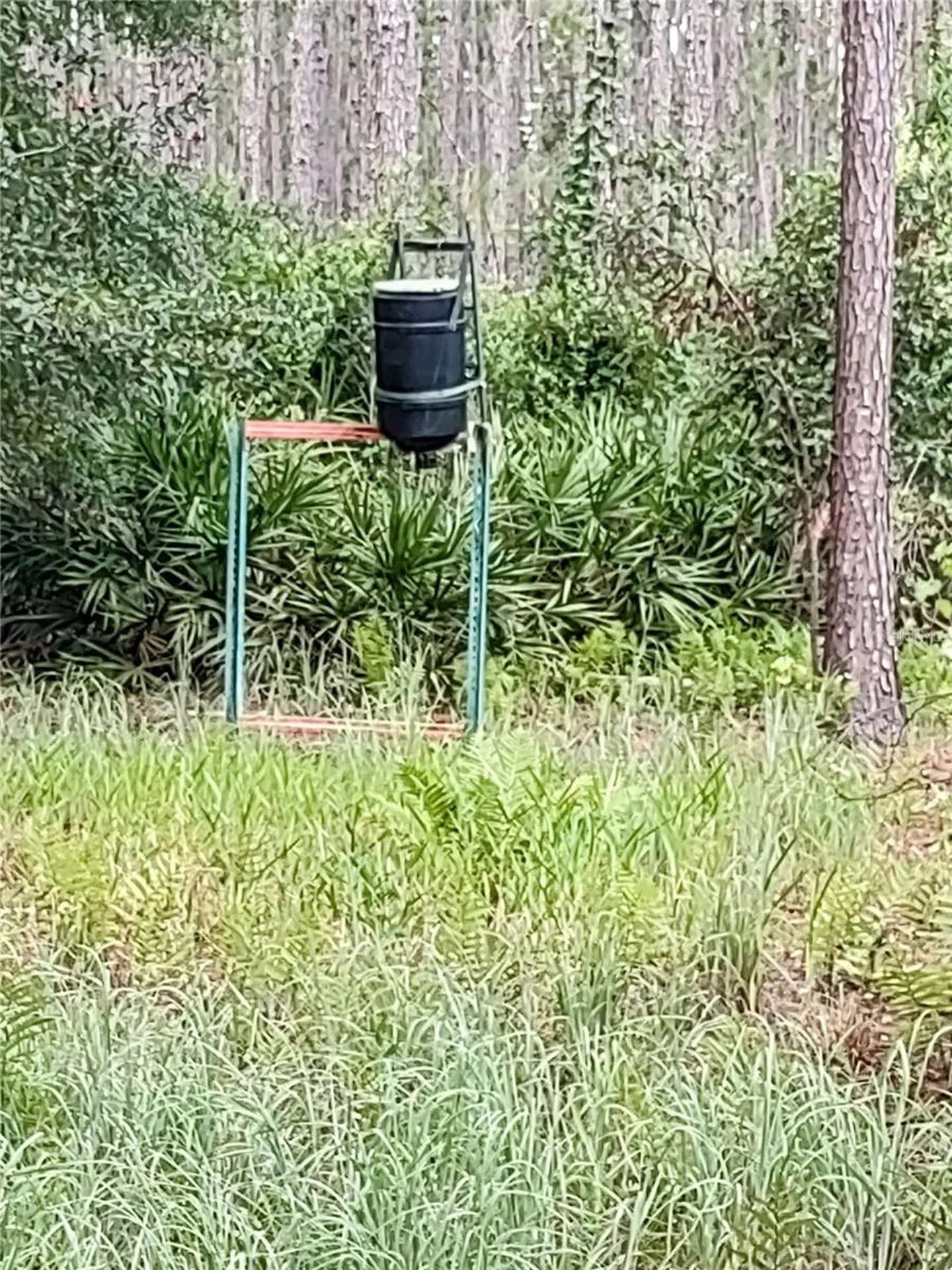 4651 NE 108th Place Chiefland FL 32626