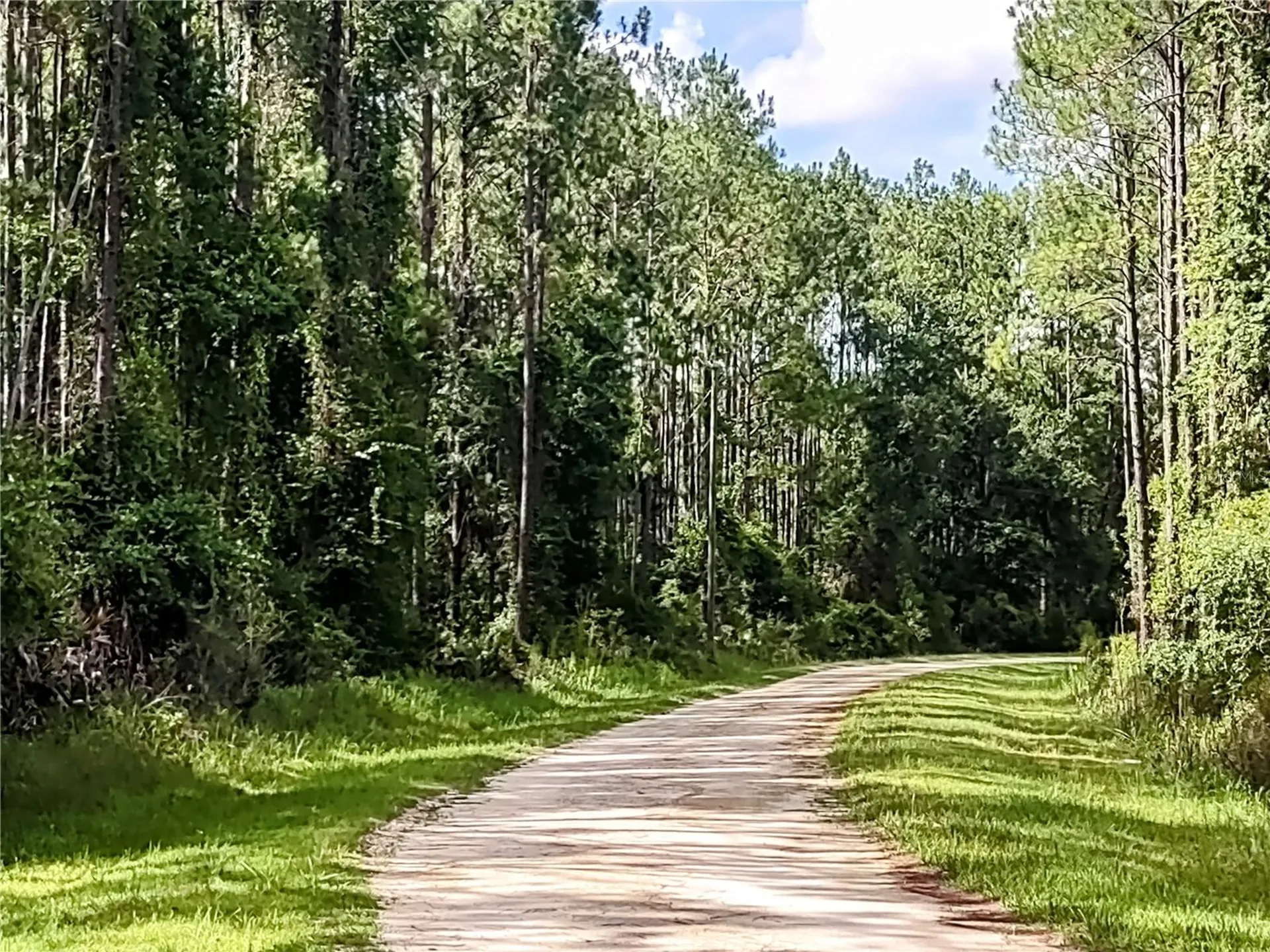 4651 NE 108th Place Chiefland FL 32626