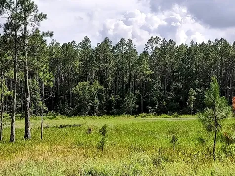 4651 NE 108th Place Chiefland FL 32626