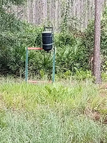 4651 NE 108th Place Chiefland FL 32626